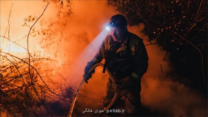 2025، بدترین فصل حریق های جنگلی اروپا