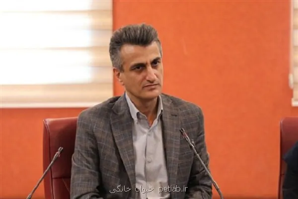 ۹۰ درصد آتشسوزی جنگلها منشأ انسانی دارد