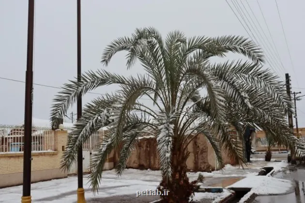 بارندگی باران و برف در تعدادی استانها