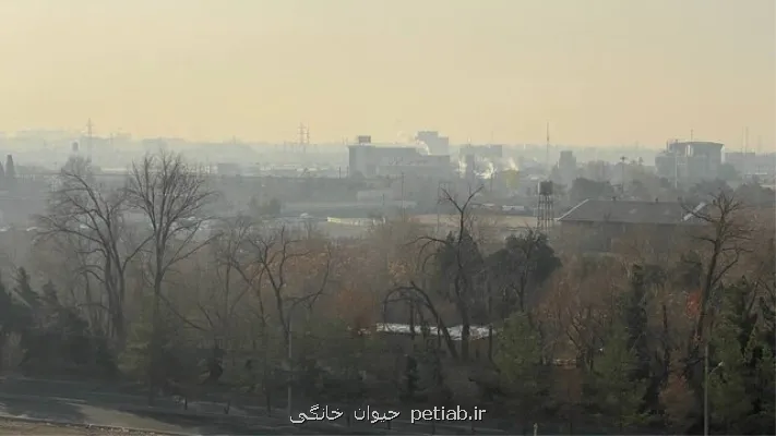 هوای تهران آلوده برای همه