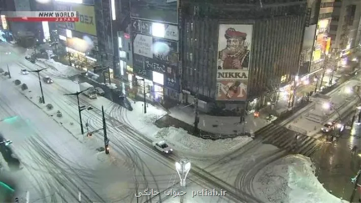 افزایش تلفات سرمای قطبی در ژاپن