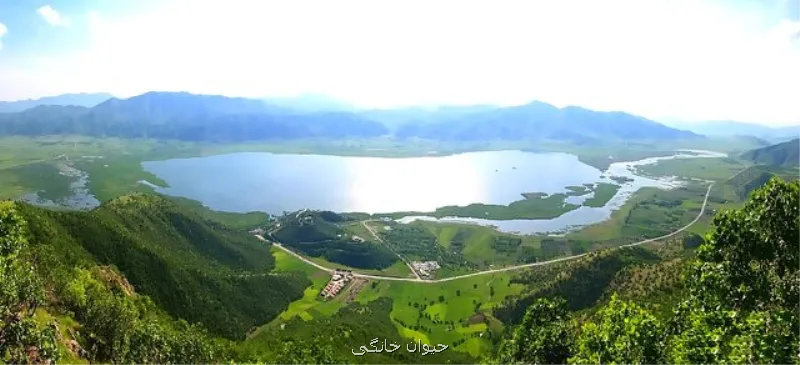 تالاب زریوار همچنان در معرض فشار فعالیتهای انسانی و تغییر کاربری اراضی