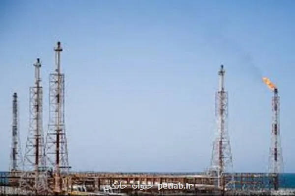 کاهش 10 میلیون لیتری فلرسوزی در کشور