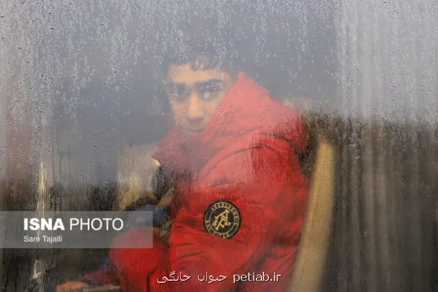 کاهش دما در شمال شرق کشور