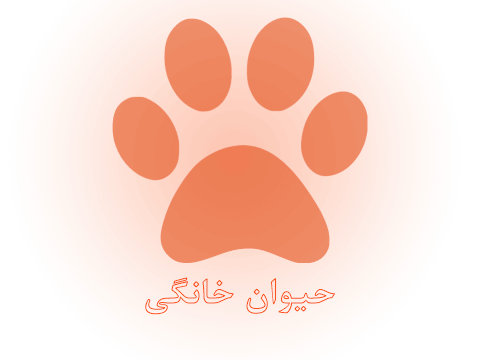 اصلاح قانون حمل سلاح با رویکرد محافظت از جایگاه محیط بانان