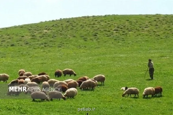ارزش علوفه مراتع اصفهان به 6 هزار میلیارد تومان می رسد