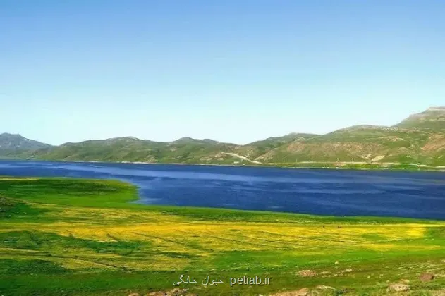 احیای تالاب انزلی نیازمند نگاه ملی