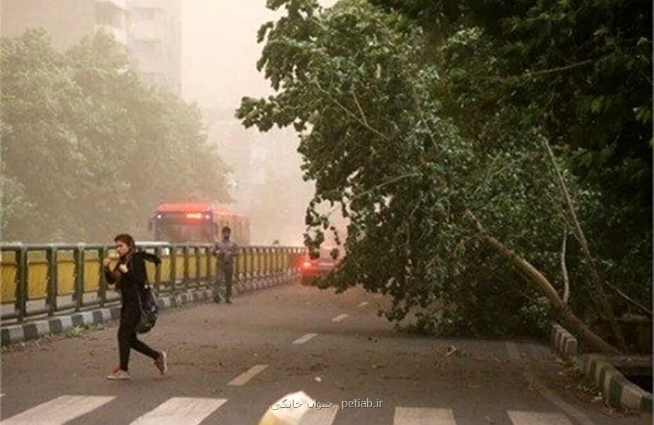 اخطار هواشناسی تهران ۲۳ شهریور خطر سقوط اجسام و وزش باد شدید
