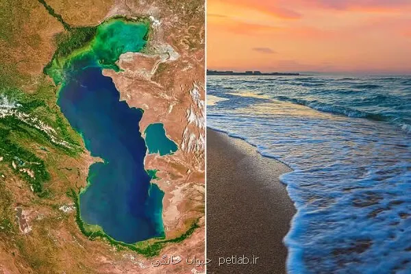 ابراز نگرانی از روند کاهشی تراز آب دریای خزر