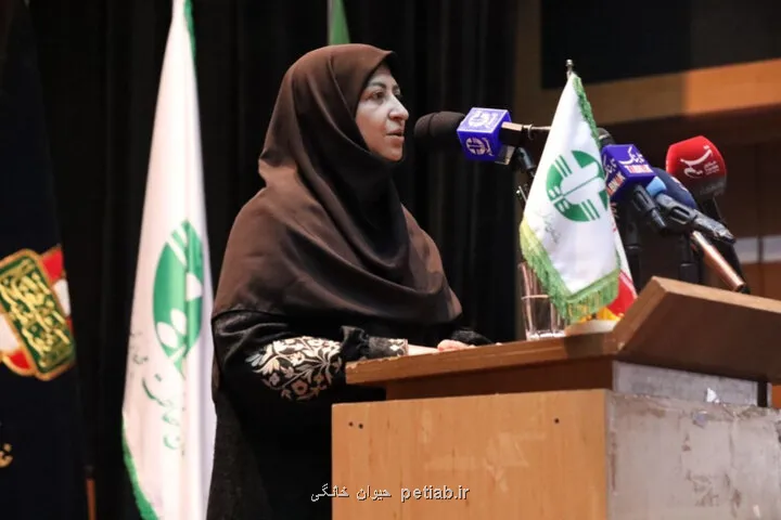 کمبود 50 درصدی نیروی انسانی در ساختار محیط زیست کشور