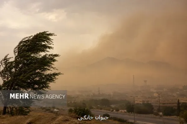 ایران و چین برای مهار گردوغبار در بالاتر از 48 هزار هکتار همکاری می کنند