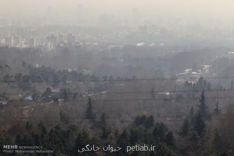 باز هم آلودگی به سراغ تهران آمد