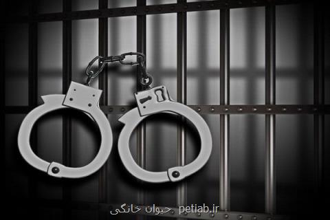 دستگیری مامورین قلابی محیط زیست در محمودآباد