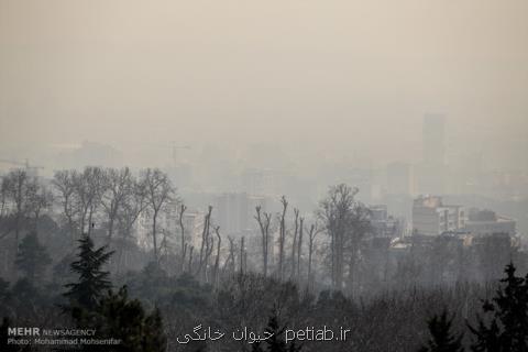 هوای تهران همچنان ناسالم می باشد