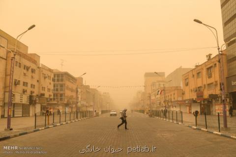 ۳۵۹ نفر در جنوب غرب خوزستان راهی بیمارستانها شدند