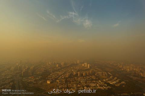 هوای تهران برای همه ناسالم می باشد، شاخص به ۱۷۷ رسید