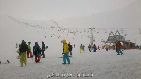 توچال را تپه شهری نكنیم، حوادث كوهنوردی در پناهگاه ها بیشتر است