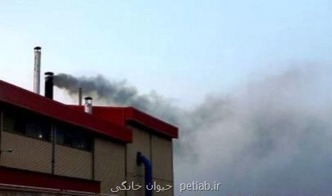 یك واحد فولاد آلاینده محیط زیست در یزد تعطیل شد