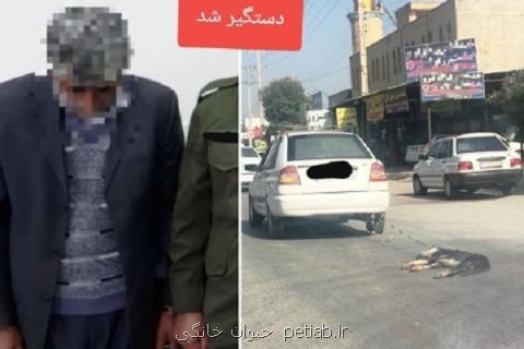 فرد حیوان آزار در استان بوشهر شناسایی و دستگیر شد