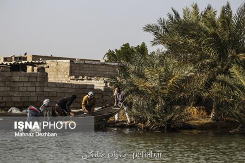 زندگی روی آب بعلاوه تصاویر