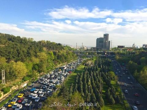 افزایش ۸۰ درصدی تعداد روزهای پاك تهران نسبت به سال قبل