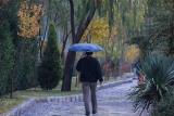 پیش بینی تگرگ برای تهران و برای برخی مناطق دیگر