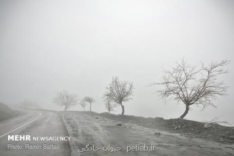 ورود موج سرما به كشور طی هفته آینده، كشاورزان آماده باشند