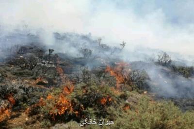 ۹۵ درصد آتش سوزی جنگل های كشور عامل انسانی دارد