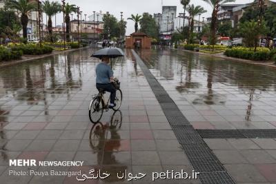 بارش پراكنده باران در بعضی مناطق كشور، رعد و برق در جنوب كشور