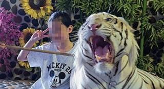 سلفی خوب در حیات وحش چیست؟