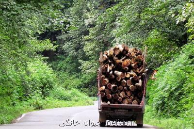 ۷۵ درصد از جنگل های ایران به بخش خصوصی واگذار شده است