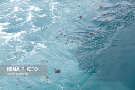 آلودگی هایی كه دست از سر خلیج فارس برنمی دارند