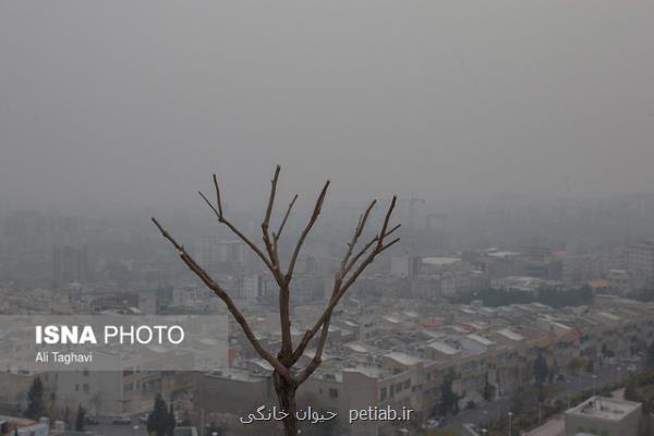سفارش های شركت كنترل كیفیت هوای تهران هنگام آلودگی هوا