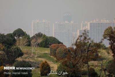 بارندگی از پنجشنبه، هوا آلوده تر می شود