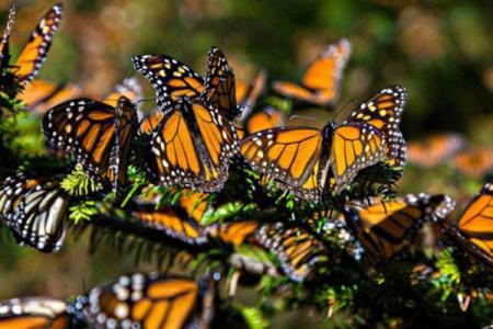 تداوم بارش برف و باران در بعضی مناطق كشور