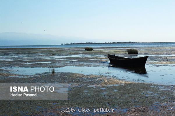 نرخ رسوب گذاری خلیج گرگان 100 برابر میانگین سایر دریاها