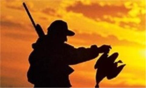 شكار یك مبحث احساسی نیست