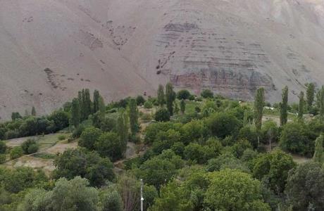 برخورد با دامداران فاقد پروانه برابر با قانون