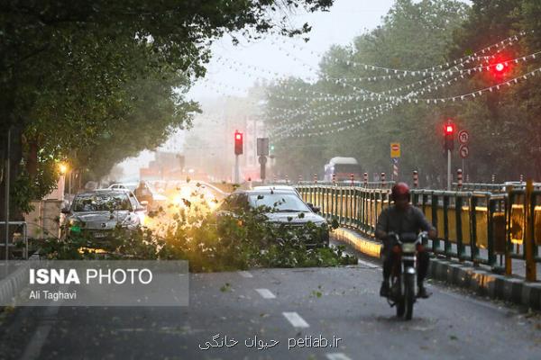 پیش بینی تداوم وزش باد شدید در ۱۵ استان كشور