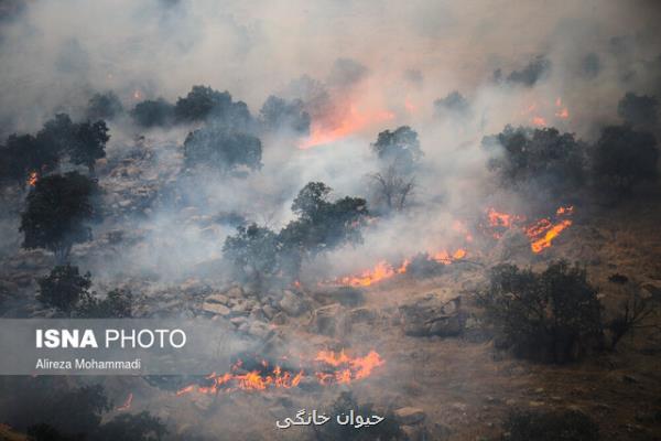 آتش سوزی منطقه حفاظت شده خائیز مهار گشت