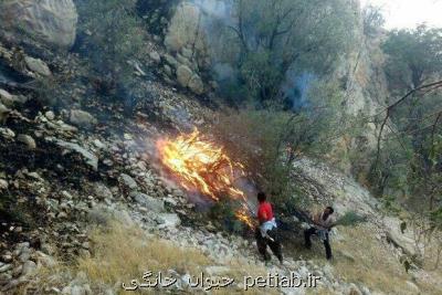 اراضی جنگلی و مرتعی منطقه طزره دامغان در آتش سوخت