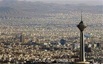 كیفیت هوای تهران مطلوب است