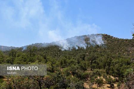 آتش به جان ۱۰۰ هكتار جنگل بوئین زهرا افتاد