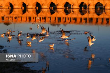 كاهش كیفیت آب های زیرزمینی زاینده رود