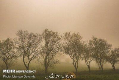 وزش بادهای ۱۲۰ روزه در سیستان و بلوچستان ادامه دارد