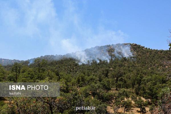 آتش به جان ۱۰۰ هكتار جنگل بوئین زهرا افتاد