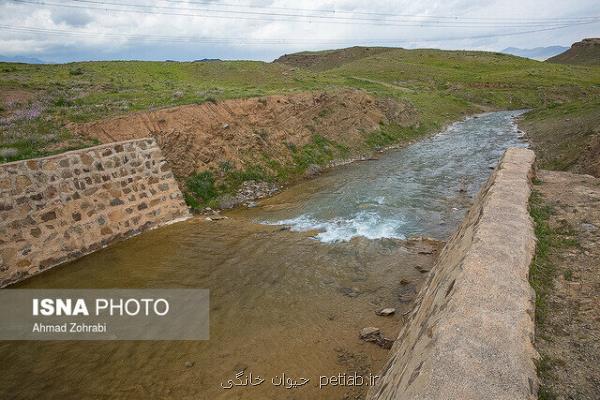 وجود۱۱۰۰سازه آبخیزداری در پاكدشت مانع بزرگی برای وقوع سیل های مخرب