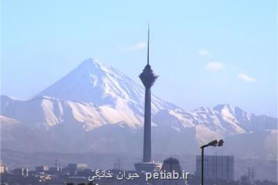 وزش باد شدید هوای تهران را در شرایط سالم قرار داد