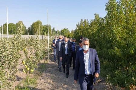 دریاچه ارومیه تا سال 1406 به تراز اكولوژیك می رسد