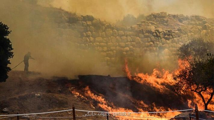 وقوع آتش سوزی های جنگلی در مناطقی از اروپا